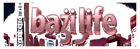 baji life logo